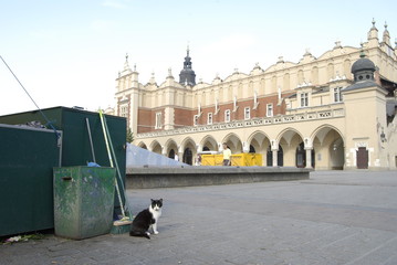 Krakow, Rynek Glowny. © M. G. Koperkiewicz