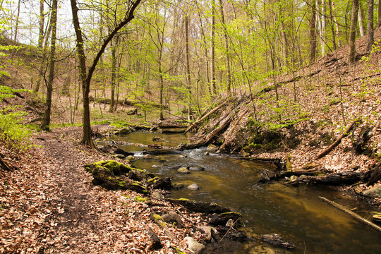 Bach, Fliessgew&auml;sser, Wanderweg im Bundesland Brandenburg, Biesenthaler Becken