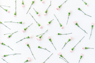 Flowers composition. Pattern made of carnation flowers on white background. Mother's day. Flat lay, top view.