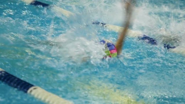 Boy swims backstroke on pool lane, back view