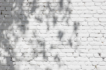 Shadows from foliage on a brick wall