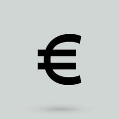 Euro icon