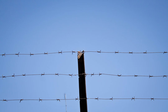 barbed wire on sky background