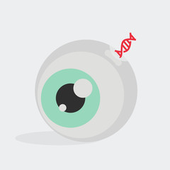 Eye vector illustration