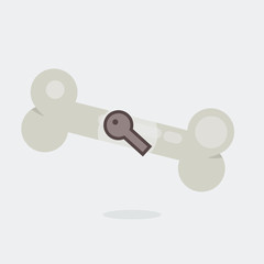  Bone vector illustration