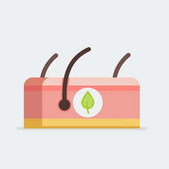 Skin vector illustration