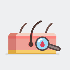 Skin vector illustration