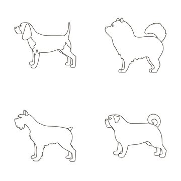 Chau chau, levawa, schnauzer, pug.Dog breeds set collection icons in outline style vector symbol stock illustration web.