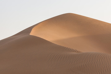 Fototapeta na wymiar unberührte Sanddüne im Oman