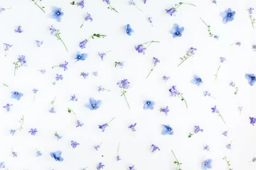 Foto op Plexiglas Viooltjes Flowers composition. Pattern made of bellflower and pansy flowers on white background. Flat lay, top view