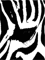 Illustration of a zebra