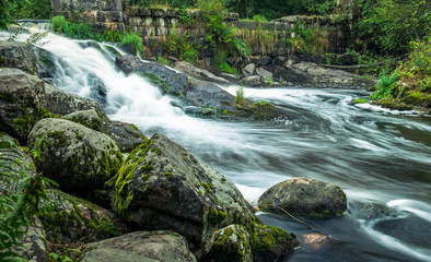 Landscape with flowing river and nice light at summer time