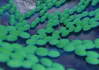 3d rendering - acetobacter bacteria