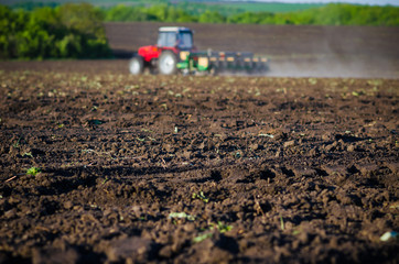 Farmer with tractor seeding crops at field background