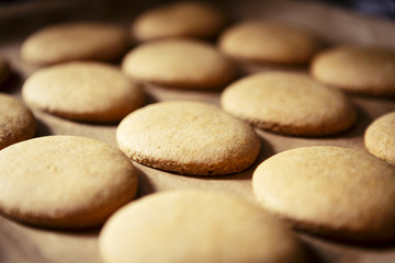 Fototapeta na wymiar preparing homemade gingerbread