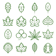 Leaf icons. Collection of green linear symbols of leaves, such as maple, fig-leaf, oak, grape, clover, hemp, chestnut, etc. Vector illustration. Editable stroke