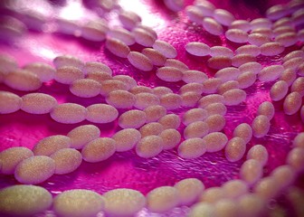 3d rendering - acetobacter bacteria
