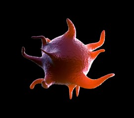 Activated platelets - 3d rendering