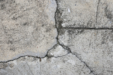 Cement floor in garden