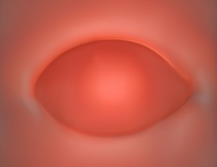 3d rendering - an eye of an 8 week old foetus
