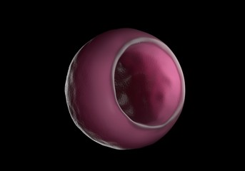 3d rendering - bacterial cells