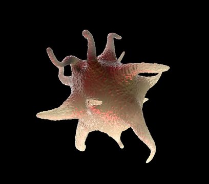 3d rendering - activated platelets