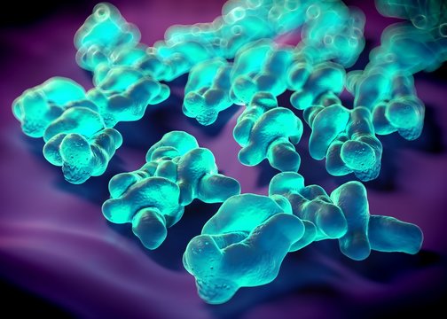 3d rendering - campylobacter jejuni bacteria