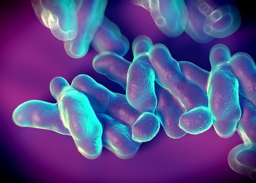 3d Rendering - Campylobacter Jejuni Bacteria