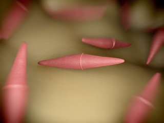 3d rendering - closterium desmid