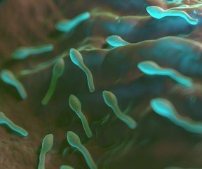 3d rendering - clostridium tetani bacterium