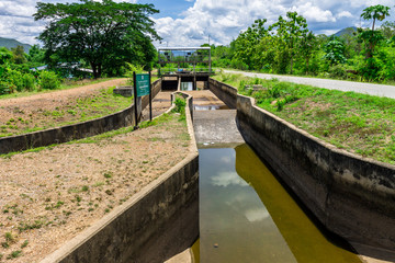 Fototapeta premium Lack of water in irrigation canal