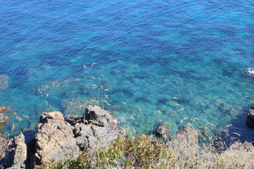 Mer Corse