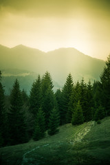 A beautiful mountain scenery of Tatra mountains. Warm summer haze, artistic, colorful, contrast...