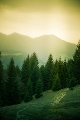 A beautiful mountain scenery of Tatra mountains. Warm summer haze, artistic, colorful, contrast look. © dachux21