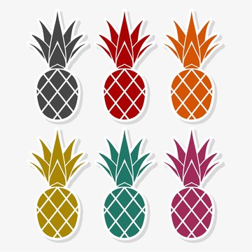 Pineapple Design, vector icon