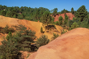 Coniferous forest on bright orange rock formations from ocher at sunny day in the Colorado...