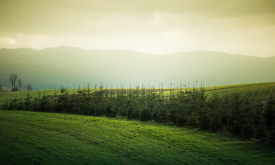 A beautiful field scenery of Slovakia. Warm summer haze, colorful contrast look.
