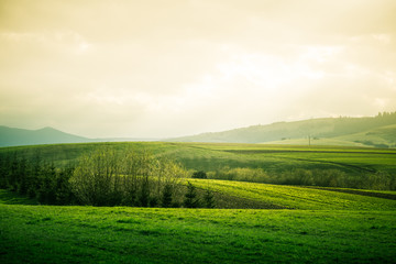 A beautiful field scenery of Slovakia. Warm summer haze, colorful contrast look.