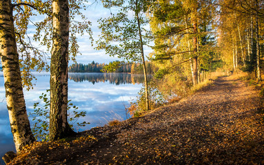 Scenic landscape with lake and fall colors at morning light in Finland - 152626007
