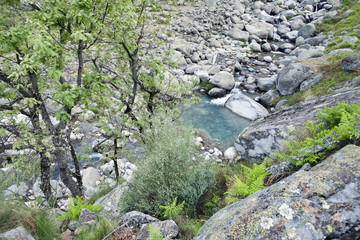 Garganta de Chilla. Sierra de Gredos