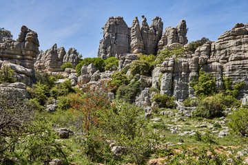 Fototapeta na wymiar El Torcal Natural Reserve in Malaga, Spain