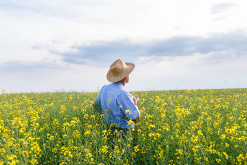 Fototapeta premium Senior farmer standing in a rapeseed field and examining crop. He is looking into the distance.