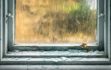 Broken window with fragment and emaciated leaf