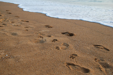 Travel to island Phuket, Thailand. The footprints of peoples and dogs on the sand beach near to sea.