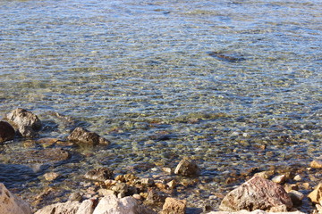 Mountains garden animals ocean open space Tourism oranges happiness