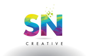 SN S N Colorful Letter Origami Triangles Design Vector.