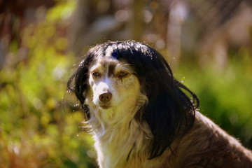 Fototapete bei efototapeten.de bestellen   