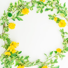 Floral round frame made of branches with leaves and yellow flowers on white background. Flat lay, top view.