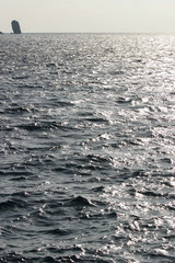 sea
