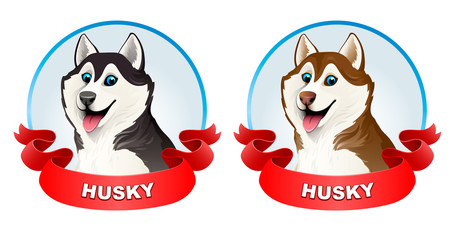 Siberian husky dog. Black and brown. Emblem husky club wiht red ribbon. He put his tongue out, smiling. Cartoon. Vector illustration on a light background. 3D. © Paslauskaya